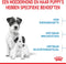 Royal Canin Mini Starter Mother & Babydog - Puppy-Hondenvoer - 4 kg