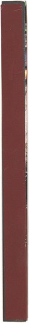 Fancy Flames BBQ/Barbecue lucifers - 10x - lange lucifers - 21 cm