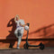 Xiaomi Elektrische Scooter 4 Lite EU 2nd Gen - 300W - 25km bereik - 25km/h - 10 inch banden - kleur lite