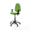 Piqueras y Crespo B1D01RT - Bureaustoel - Hoogteverstelbaar met armleuning - Pistache