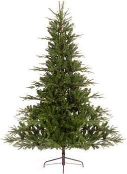 Serbian spruce 982tips green