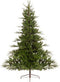 Serbian spruce 982tips green