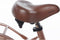 Alpina Clubb Meisjesfiets - 20 inch - Rose Gold Matt - Transportfiets Meisjes - Roze
