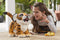FurReal Brullende Tyler, de Speelse Tijger - Interactieve knuffel