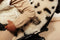 Binibamba Buggy Snuggler Peanut Leopard - Multi