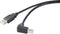Renkforce RF-4613068 - USB A naar USB B Kabel - 0,5 m - Zwart