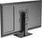 Neomounts DS45-430BL12 - TV-bureaustandaard - Draagvermogen 40 kg - Zwenkoptie 70°