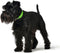 Dog collar Hunter Convenience Green Size S/M (33-41 cm)