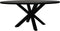 Ovale eettafel - 200x100x76 - Zwart - Mangohout/metaal