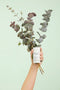 Caudalie Vinofresh - Deodorant Stick - Vegan - Zonder aluminiumzouten - Zonder alcohol