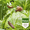 Pokon Bio - Slakkenkorrels - 900g - Regenbestendig - Ongediertebestrijding