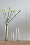 J-Line Vaas Bladeren Glas Transparant Medium - Bloemenvaas 28.00 cm hoog