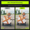 N960E 60FPS autofocus 1080p webcam met 2 stereo microfoon, ringlicht en afdekking, USB-camera voor h