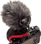 Røde VideoMicro - Shotgun Microfoon - Helder geluid - Inclusief Shockmount