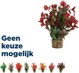 Zolux Ornament pastic plant op stenen puntig