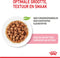 Royal Canin Kitten - Katten Natvoer in Gravy - 12 x 85 gr