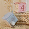Little Dutch - Safari Friends - Zachte Blokkenset - Multicolor