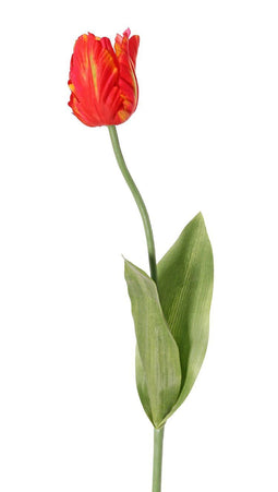 Top art - Tulp Tulipa parrot Garden art 1 bloem dia. 6 x 8,5 cm met 2 bladeren feel real 21 x 7,...