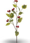 Raspberry spray red 90 cm Emerald
