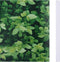 vidaXL - Tuinscherm - 70x0,19 m - PVC - bladpatroon