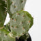 Mica Decorations Cactus Kunstplant in Bloempot - H50 x Ø25 cm - Groen