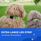 Dutchwide Lichtgevende Halsband Hond - Verstelbaar - USB Oplaadbaar - Groen - L 41 cm tot 52 cm