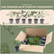 Plants by Frank - 1 lopende meter haag van rode mispel - Photinia fraseri 'Red Robin' | Plantenset met 6 winterharde haagplanten - groenblijvende haag - rechtstreeks van de kwekerij
