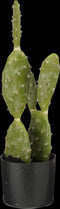Mica Decorations Cactus Kunstplant in Bloempot - H50 x Ø25 cm - Groen