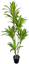 Decoratieve plant Polyurethaan Cement 150 cm