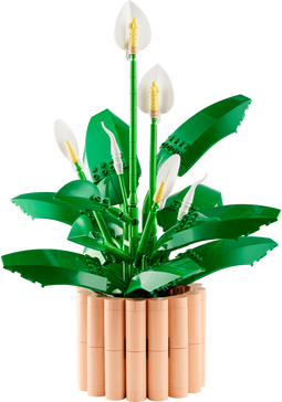 LEGO Botanicals Lepelplant - Bouwpakket voor volwassenen - 6 lepellanten in bloeifasen - Perzikkleurige pot
