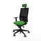 Bureaustoel Piqueras y Crespo 1D066G2 Groen