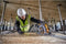 DeWalt DCS579NT-XJ - Cirkelzaag - 54V Brushless motor - 190mm zaagblad