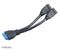 Akasa USB 3.0 - Interne adapterkabel 19-polig naar 2x USB 3.0 A-bus - 0,15 m - Zwart