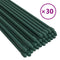 vidaXL - Plantenstaken - 30 - st - 90 - cm - staal - groen
