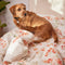 Dekbedovertrek Riomaggiore | Happy Friday