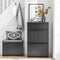 SoBuy FSR165-SCH - Schoenenkast - 2 Flappen en Lade - Zwart