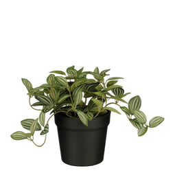 Mica Decorations - Kunstplant mica tradescantia in pot 16x16cm | 6 stuks