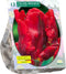 Tulpenbol Rococo Parrot - Parkiet - 1 x 12 bloembollen