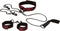 CalExotics - Scandal Submissive Kit - Bondage / SM Collar and leash Zwart