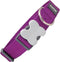 Dog collar Red Dingo Purple (4 x 37-55 cm)