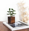 Oakywood Cubic Plant Pot - Massief Walnoot - Luxe Houten Kleine Plantenpot Bureauaccessoire
