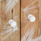 vidaXL - Dressoir - 60x33,5x75 - cm - massief - mangohout