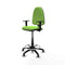 Piqueras y Crespo B1D01RT - Bureaustoel - Hoogteverstelbaar met armleuning - Pistache