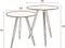 Dutchbone Stalwart Bijzettafel (Set van 2)