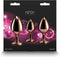 REAR ASSETS TRAINER KIT ROSE GOLD PINK HEART