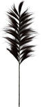 Decoratieve veer - 65x2x175 - Zwart/naturel - Bamboe