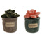 Deurhouder Home ESPRIT 12 x 12 x 18 cm (2 Stuks)