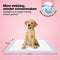 Jake and Jacky Puppy Training Pads - Zindelijkheidstraining Hond - 6-laags sterk absorberend - 60 x 60 cm (180 stuks)