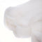MACED Pressed White Bone 7.5 cm - Dog treat - 5 pieces