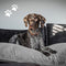 Madison Velours Lounge Cushion Grijs L